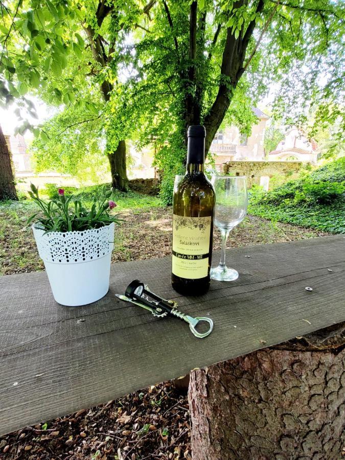 Chateau Moravany - Apartmany, Teepee A Wellness Ronow an der Doubrava Buitenkant foto