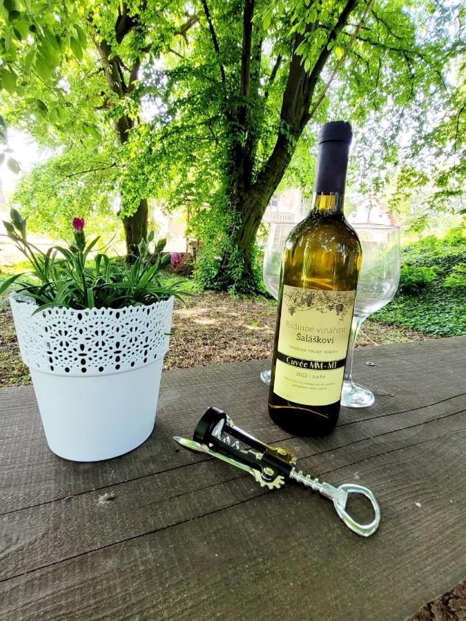 Chateau Moravany - Apartmany, Teepee A Wellness Ronow an der Doubrava Buitenkant foto